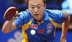 马琳爆料王励勤了吗视频,视频揭秘背后的真相